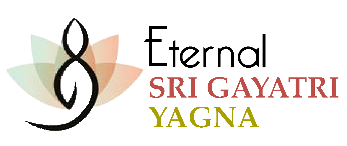 sgy logo